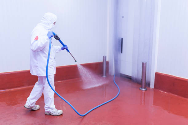 Best Graffiti Removal  in Bartonville, TX